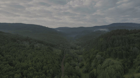 win at retail sustainability